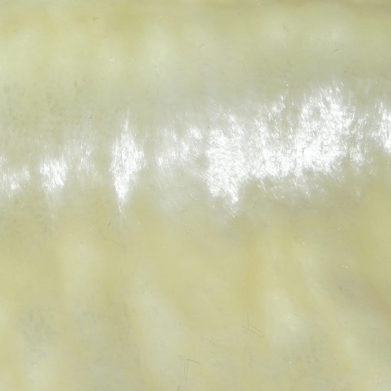 SILK / VISCOSE VELVET - LONG PILE - ANTIQUE IVORY-SAMPLE