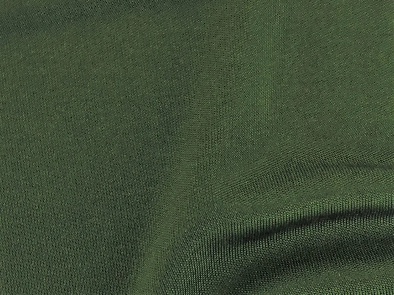DOUBLE SIDED JERSEY - DILL